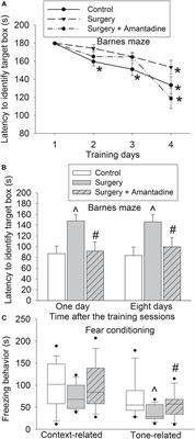 Amantadine Alleviates Postoperative Cognitive Dysfunction Possibly by Preserving Neurotrophic Factor Expression and Dendritic Arborization in the Hippocampus of Old Rodents